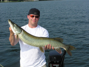 ddda28c0-ee66-4c89-b0d4-a60093642213