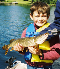 df0b1b56-b87c-4715-a7db-5c71c76fae1f