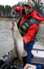 e02300d6-5ced-4efb-bc7b-dd487397a9ca