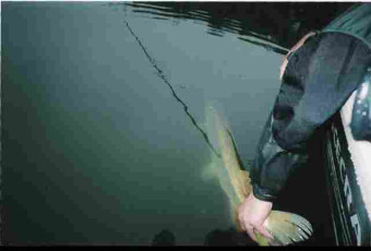 e0e3961d-aa55-42ee-abe7-e8736151eed5