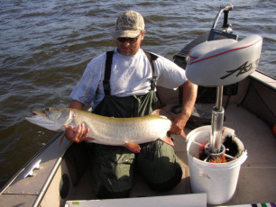 e1d04172-0043-44a7-921f-bf88ede27eb6