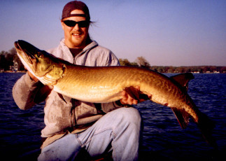 e1da871f-eb10-4a22-ba2f-87e159cf8835