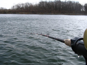 e237038f-dd10-4b7a-9068-8cb6243212f4