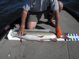 e298ed46-76e0-49b7-972c-5abf973731c3