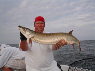 e2d1a8b2-a42d-4794-a9b7-22df163b3478