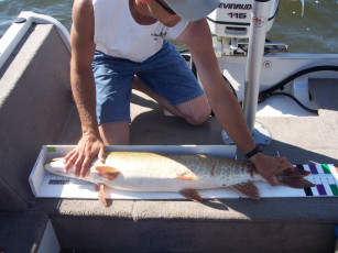 e2e186d6-77b8-46e1-8f93-10320d38cfbf