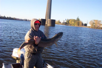 e368986a-75e0-4c18-b6b7-28fb1e4a62f0