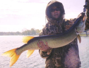 e3db3f02-ff66-4a2b-a7a1-b213ba8af8b3