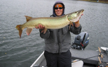 e40179d3-4556-4079-9743-7e3a7f9d0b2c