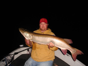 e6636717-32f6-4f17-bcbe-be6be9902527