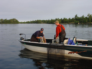 e68ec720-82b7-4a05-aa61-03d9cc341548