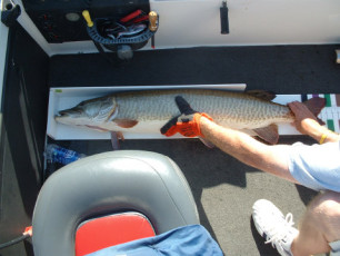 e6b95658-a70f-4cdf-8928-2b1327009bfd