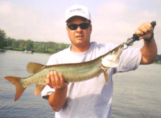 e7d9092b-786d-4300-9f58-e29de18e7122