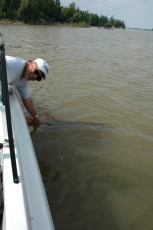 e859c49c-e476-459d-860b-df38371bd939