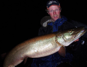 e93d1f6b-00c3-4fa5-99ac-c94969d387cf