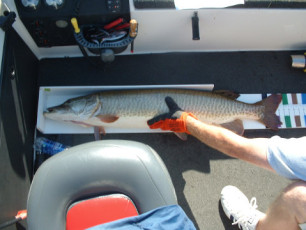 ea712ebc-74a9-4d91-a7ae-0ca00c288262