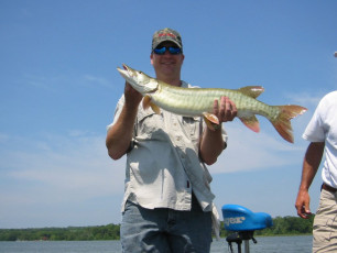 eab830be-e898-42e2-bae3-1c3d1a6e949b