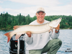 edfbfdc7-1892-4a41-bd1e-d33341531334