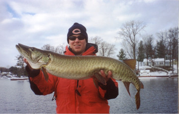 eed8c46f-d522-44d8-ad17-81dfb7c1c67d