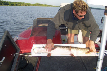 ef3d94ce-4b25-4df1-920d-7ac731347978