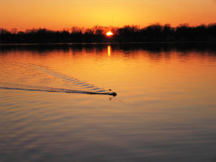 f1edd09b-b2e3-4ecd-86ef-aaa1250bef59