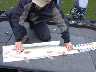 f3f0c29b-16be-4727-9b6e-8af544305fd3