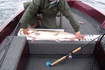 f4637fa6-b8fc-41d6-a9fe-db22ab6e6cdb