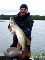 f6cd41e9-9a4a-4760-83b8-03897dccba84