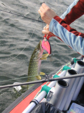 0b5afd9d-ef41-4a66-ad39-e15079f4c37a