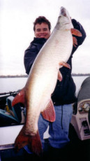 fa05d305-b25a-4f24-85ca-4c3b026273ba