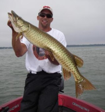 fa516de0-8772-482a-809b-1200abc6f283