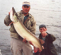 facae9db-8027-4868-9234-0cc1c6c20628