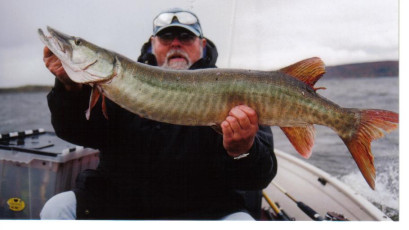 fc9430c0-04f3-472a-8af7-97734f50cdc9