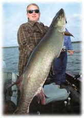 fe0cc4ef-d61a-4769-8e01-9c1dbbb43da7