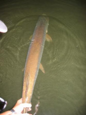 fe663860-5ce4-4446-ae87-287d3ee051f6