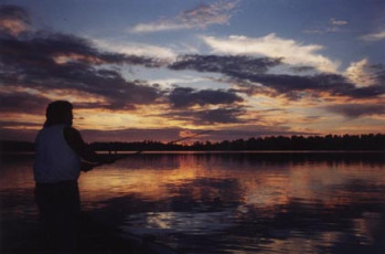 fec8c78a-e515-4104-9c76-122ba328b226