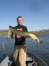 6B4E7E4E-F85A-40BB-9D79-EBD77BB4D31A