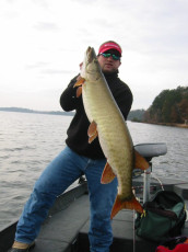 38cf42c9-bd78-48c5-9467-7e07e6b368e4