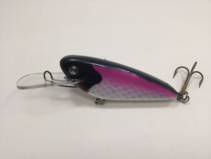 Blueback Cisco 5 Fat Shad_preview