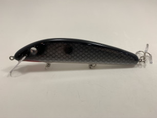 Gizzard Shad Little Claw Twitch