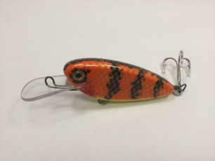 Orange Perch 4 Rippin Shad_preview