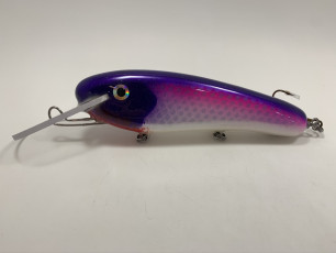 Purple Back Cisco 8_ Deep Threat