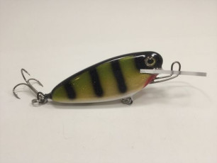 White Belly Natural Perch 4 Rippin Shad_preview