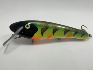 White Belly Perch 12 Shallow Threat_preview