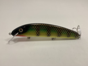 White Belly Perch Little Claw Twitch