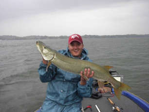 010976c8-bfc7-4ff4-9494-5a225891caab