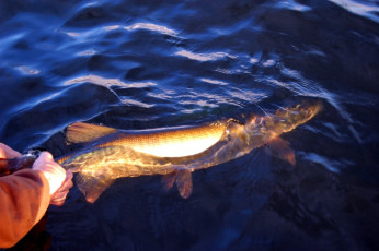 01C00556-C73D-4BA4-9053-0AF7DCDF7AED