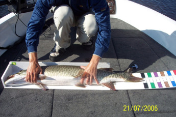 04d8b33e-8f7f-4c06-b888-3855c7d6915b