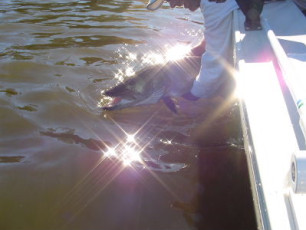 0679ff34-8be9-40f9-b9da-e12f04812a35