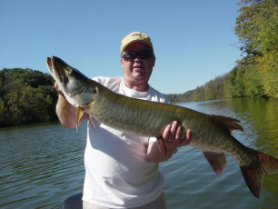 06981350-D7D4-4955-9C65-67BA71B37E7F